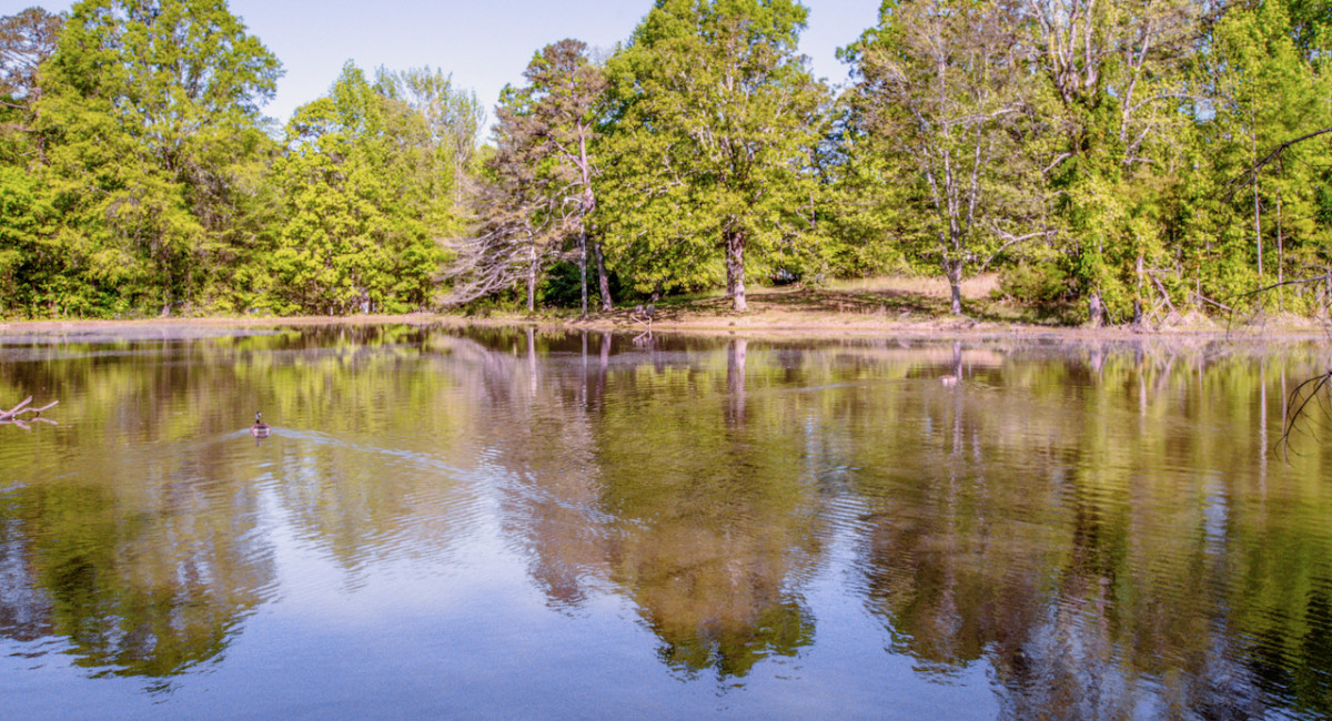 524 Dawn Cir, Charlotte, NC 28213 Image #10