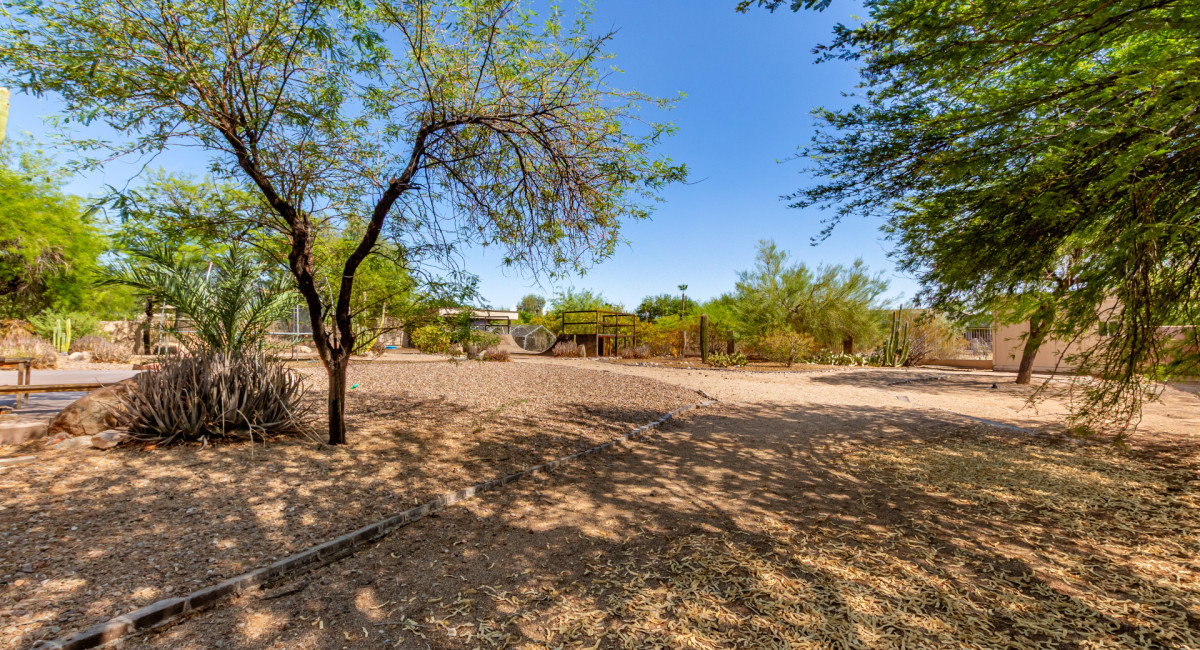 12749 E Turquoise Avenue, Scottsdale, AZ 85259 Image #48